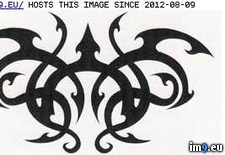 Tags: design, tattoo, tribal7 (Pict. in Tribal Tattoos)