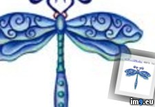 Tags: design, tattoo, tsdflyblue (Pict. in Insects Tattoos)