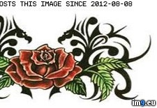 Tags: 5x6, design, rose, tattoo, tribal, tts (Pict. in Rose Tattoos)