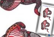 Tags: cobras, design, striking, tattoo, two (Pict. in Snake Tattoos)