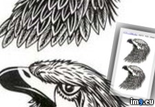 Tags: bird, design, eagle, heads, tattoo, tattoos, two (Pict. in Eagle Tattoos)