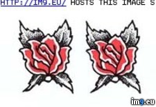 Tags: design, flowers, tattoo, two (Pict. in Rose Tattoos)