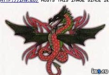 Tags: blackwings, design, red, tattoo, tribal (Pict. in Dragon Tattoos)