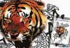 Tags: design, dragon, tattoo, tiger, tribal, vsbt2 (Pict. in Tiger Tattoos)