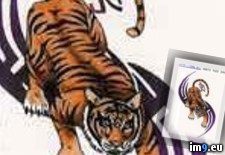 Tags: design, purple, tattoo, tiger, tribal, vsicd (Pict. in Tiger Tattoos)