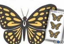 Tags: design, tattoo, yellow (Pict. in Butterfly Tattoos)