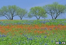 Tags: country, hill, johnson, lyndon, park, state, texas (Pict. in Beautiful photos and wallpapers)