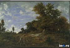 Tags: edge, fontainebleau, forest, girard, monts, odore, rousseau, woods (Pict. in Metropolitan Museum Of Art - European Paintings)
