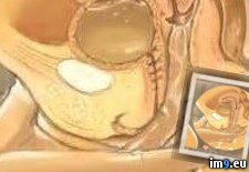 Tags: hentai, porn (Pict. in Nemesis 0)