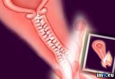 thCAK27F3B (#Porn #Hentai ) - 8 KB Tags: hentai, porn (Pict. in Nemesis 0)