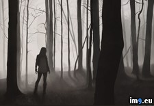 The Forest 2560X1440 HD wallpaper (#Wallpaper #Forest #2560x1440) - 225 KB Tags: 2560x1440, forest, wallpaper (Pict. in Desktopography Wallpapers - HD wide 3D)
