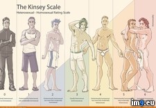 Tags: homosexual, illustrated, kinsey, rating, scale (Pict. in Rehost)