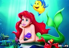 Tags: cartoons, for, kids, mermaid (Pict. in Cartoon Wallpapers And Pics)