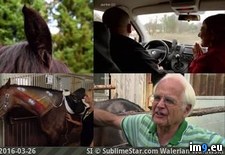 thumb29eadb62-cbfd-4953-92a6-99cd273c54b1 ( #Porn) - 20 KB Tags: porn (Pict. in ghbbhiuiju)