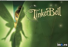Tags: cartoons, for, kids, tinkerbell (Pict. in Cartoon Wallpapers And Pics)
