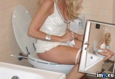 toilet1 - 80 KB Tags: (Pict. in Instant Upload)
