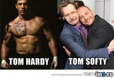 Tags: hardy, softy, tom (Pict. in Rehost)