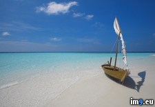 Tags: beach, dhoni, maldives, traditional (Pict. in Beautiful photos and wallpapers)