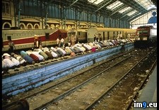 Tags: prayer, station, train (Pict. in National Geographic Photo Of The Day 2001-2009)