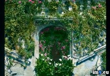 Tags: carlotta, garden, landing, stairs, tremezzo, villa (Pict. in Branson DeCou Stock Images)