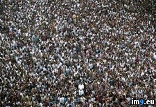 Tags: crowd, pooram, trichur (Pict. in National Geographic Photo Of The Day 2001-2009)