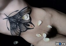 tSVNfKgE (#Tits #Naked #Lingerie #City #Nudeinpublic #Levine #Wilde #Hairypussy) - 156 KB Tags: city, escort, hairypussy, levine, lingerie, manhattan, naked, nudeinpublic, rosie, tattooed, tits, wilde (Pict. in Ms. Rosie Wilde, Rosie Levine, Rosie Manhattan nude)