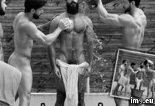 Tags: bigcock, gay, homo, hot, manly, porn, xxx (Pict. in gay - general)