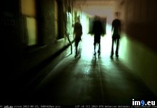 Tags: tunnel2 (Pict. in PhaOmega Photography)