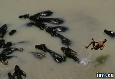 Tags: backflip, river, turag (Pict. in National Geographic Photo Of The Day 2001-2009)