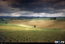 Tags: sun, tuscan (Pict. in National Geographic Photo Of The Day 2001-2009)