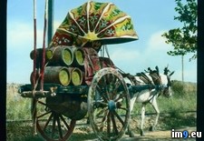 Tags: decorated, drawn, horse, tuscany, wagon (Pict. in Branson DeCou Stock Images)