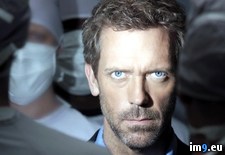 Tags: house, show (Pict. in TV Shows HD Wallpapers)
