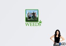 Tags: show, weeds (Pict. in TV Shows HD Wallpapers)