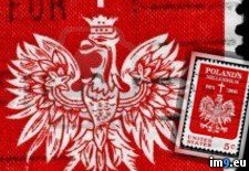 Tags: cross, eagle, millennium, poland, polish, stamp, usa (Pict. in Rehost)
