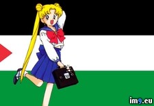 Tags: flag, palestine, waifu (Pict. in Your Waifu Supports Palestine)
