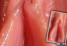 Tags: soaked, vagina (Pict. in My r/VAGINA favs)