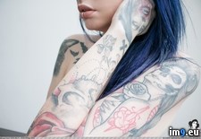 vanp-shineonyoucrazyvader-35 (#Hot #Sexy #Boobs #Tatoo #Vanp #Shineonyoucrazyvader) - 99 KB Tags: boobs, emo, girls, hot, nature, sexy, shineonyoucrazyvader, tatoo, vanp (Pict. in SuicideGirlsNow)