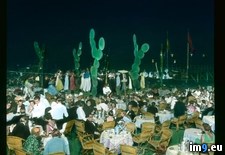 Tags: evening, gala, venice (Pict. in Branson DeCou Stock Images)