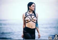 Tags: boobs, girls, seahag, sexy, softcore, suicidegirls, tatoo, tits, venom (Pict. in SuicideGirlsNow)
