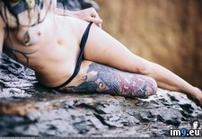 Tags: boobs, emo, girls, porn, seahag, sexy, suicidegirls, tatoo, tits, venom (Pict. in SuicideGirlsNow)