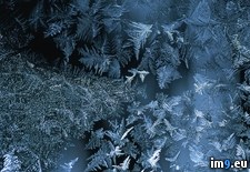 Tags: frosted, vermont, window (Pict. in National Geographic Photo Of The Day 2001-2009)