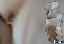 VID-20240611-WA0044p_7 (#Porn #Hot #Tits #Sexy #Pussy #Gif #Fucking #Hardcoregif #Porngif #Dirty #Cumslut #Hardcorexxx) - 4.9 MB Tags: animated, cumslut, dirty, fucking, gif, hardcore, hardcoregif, hardcorexxx, hot, porn, porngif, pussy, sexy, slut, tits, whore, xxx, xxxgif (GIF in Instant Upload)