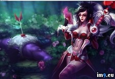 Tags: game, league, legends, video (Pict. in Games Wallpapers)