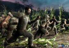 Video Game Left 4 Dead 28405 (#Game #Video #Left #Dead) - 230 KB Tags: dead, game, left, video (Pict. in Games Wallpapers)