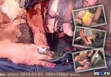 vignette0a4cdec3-acf0-4616-b0ba-a8b5778ab475 (#Porn #Gif #Animated) - 324 KB Tags: animated, gif, porn (GIF in ghbbhiuiju)