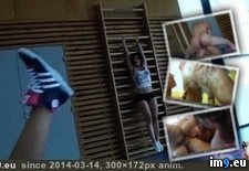 Tags: animated, gif, porn (GIF in ghbbhiuiju)