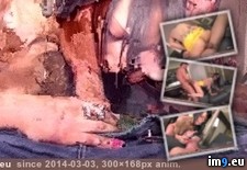 Tags: animated, gif, porn (GIF in ghbbhiuiju)