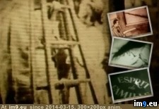 vignettecfb33a1d-aaba-403c-99bd-eb82a27b324a (#Porn #Gif #Animated) - 334 KB Tags: animated, gif, porn (GIF in ghbbhiuiju)