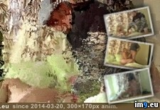 vignetteff3fcc78-4d1f-4ad0-b2df-53cf52e4b751 (#Porn #Gif #Animated) - 358 KB Tags: animated, gif, porn (GIF in ghbbhiuiju)