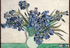 Tags: gogh, irises, van, vincent (Pict. in Metropolitan Museum Of Art - European Paintings)